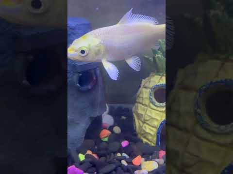 لما تيجي أتصور شي وابنك يقعد ينادي عليك        