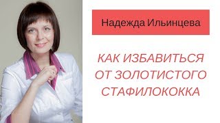 Как избавиться от золотистого стафиллококка