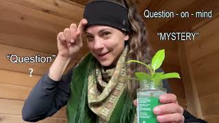 Learn ASL: Mystery, Puzzled