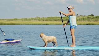 Getting to know LBI and vicinity