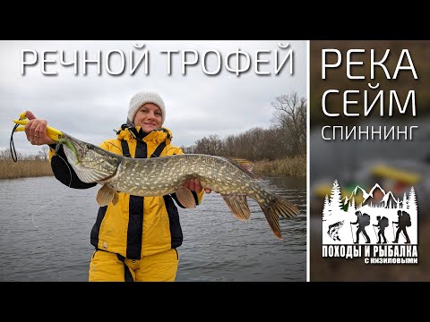 Видео: Трофейная рыбалка на реке (Сейм 18.11.2023)