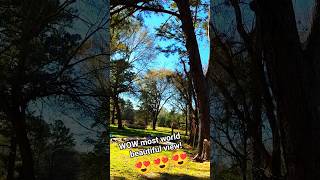 treetrimming treeparts woodcutting tree woodscraft treeanatomy treeclimber wood shortsfeed