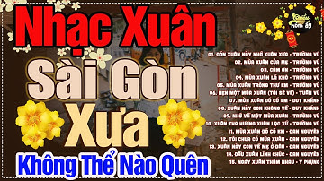 20 BÀI NHẠC XUÂN XƯA - Nhạc Xuân Xưa Bất Hủ - Nhạc Tết Xưa Hải Ngoại Hay Nhất