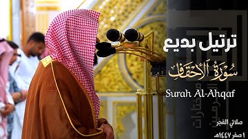 " ولِكُلٍّ دَرَجاتٌ مِمّا عَمِلوا " ترتيل بديع من سورة الأحقاف للشيخ د. عبدالله القرافي ~ 1-2-1447هـ
