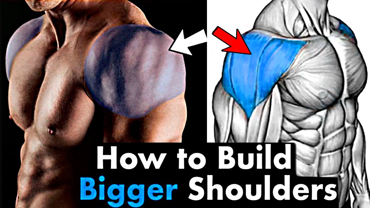 Build Broader Shoulders With These 8 Machine Exercises