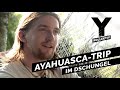 Ayahuasca: Was ist dran am Hype? Zwischen Ritual und Therapie