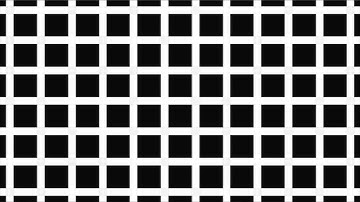 Video installation: Moving image 2 (No sound)