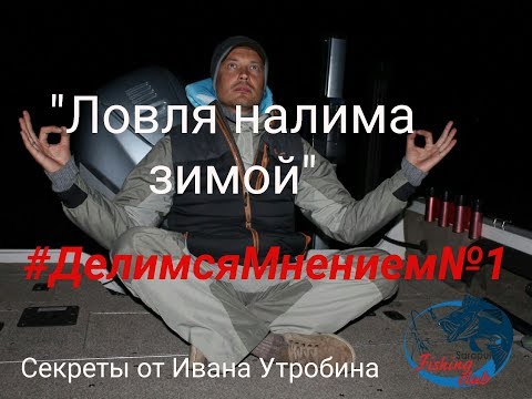 Секреты ловли налима