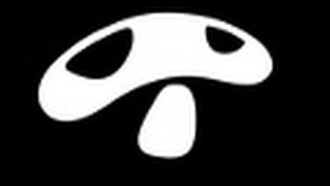 Mushroom - Company Introduction