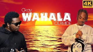 Ckay - Wahala x Olamide (OFFICIAL LYRIC)