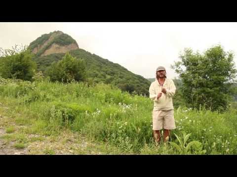 მოგზაურობა გიო გაბუნიასთან ერთად - ლოპოტას ტბა