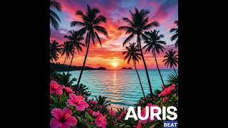 Fun - AURIS Beat