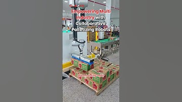 Empowering Multi-Industry with Collaborative Palletizing Robots