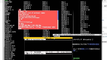 X-SIXEL window in SKK-term
