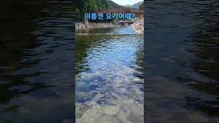 여름엔 여기어때?