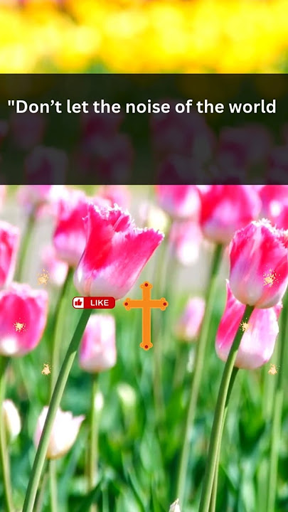 god's word #trending #jesus #god #godmessageforyoutoday #godmessageformetoday #godsays #godmsg