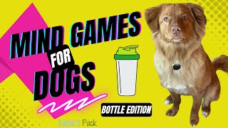 Mental Stimulation and Exercise for Dogs - Blender Bottle Game - Toller Edition by A Duck Toller Named Sable 1,164 views 2 years ago 9 minutes, 5 seconds