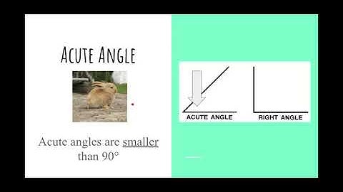 Geometry Words-Types of Angles - Google Slides