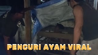 Maling Ayam Viral