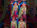 #ஆடிபூரம் #ஆடி #ஆடிபூரம் #aadi #aadi2024 #aadipooram #adipooram#kaveripattinam #jalagandeshwarar