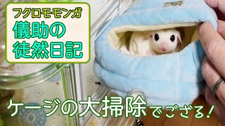 ケージの大掃除でござる！【フクロモモンガ儀助の徒然日記】