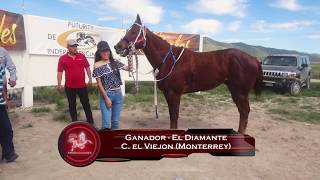 EL COCHILOCO VS EL DIAMANTE - 15 OCT 17 - PUERTO MEXICO RACE TRACK - PURA SANGRE PRODUCCIONES