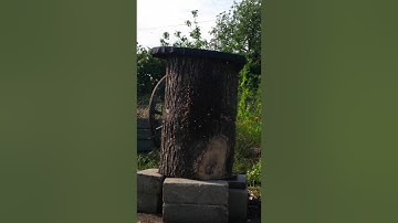 Log hive swarm