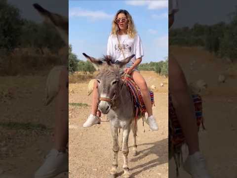 ختنا كتسركل فوق الحمار  الذكاء الاصطناعي  