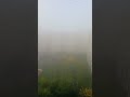 Туман в Москве Новопеределкино