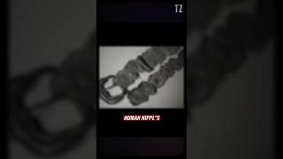 The Disturbing Belt Found in Ed Gein’s House | True Crime Horror