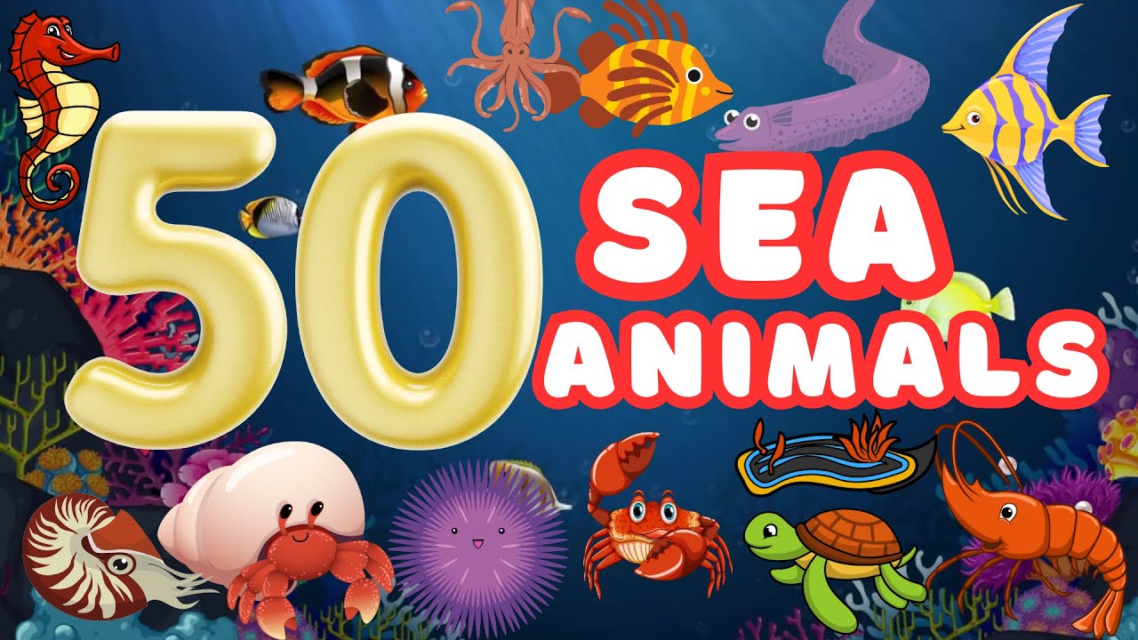 50 Cool Sea Animals for Kids & Toddelrs | Fun Ocean Learning Video ...