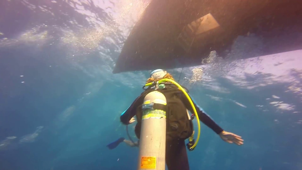 Dive Boat Bottom Center Diver Access Hatch, Roatan, 2/22/17 YouTube