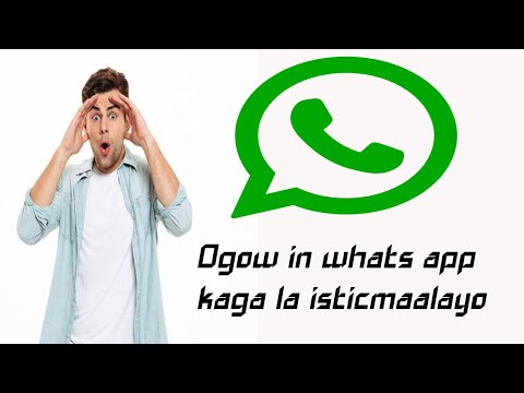 Sidee Ku Ogaan kara  In Whats App kayga La Isticmalayo ama Lajabsady.