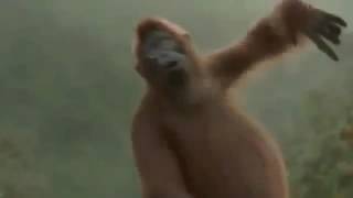 Ой Мама Не Женюсь