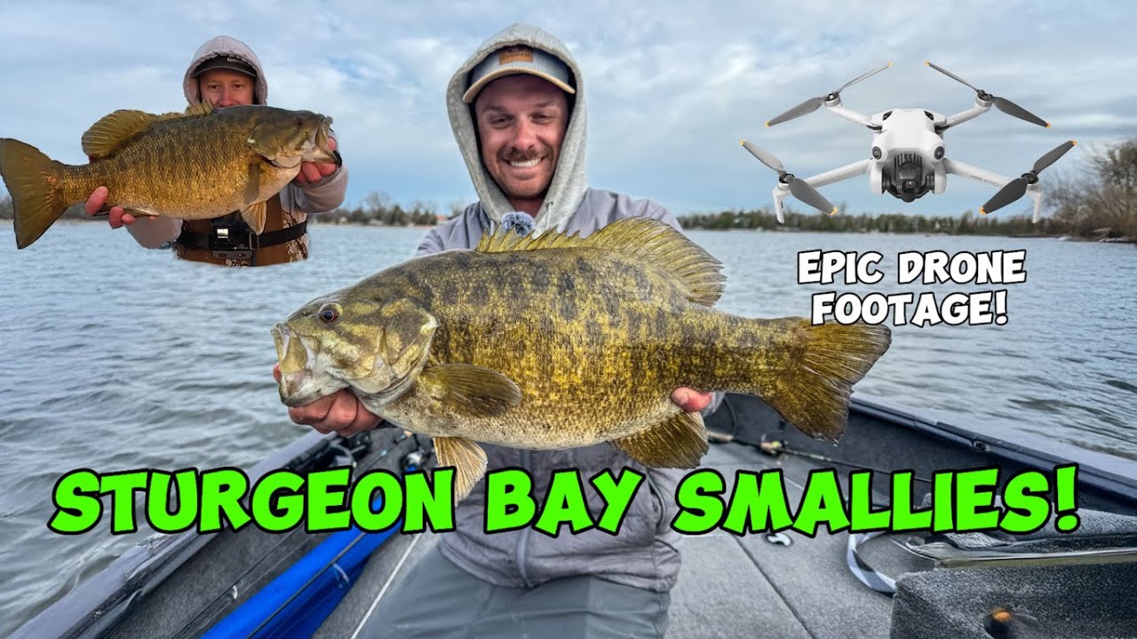 Ловля малоротого окуня в заливе Стерджен! ЭПИЧЕСКИЕ ВИДЕО С ДРОНА — Kraken The Code, эпизод 3