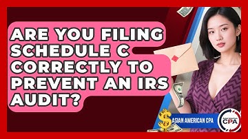 Are You Filing Schedule C Correctly To Prevent An IRS Audit? - Asian American CPA