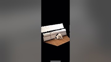 3D Video Viewer | Record3D iOS app