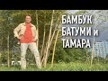 Новое перо для каллиграфии и бамбук, Батуми и Тамара.