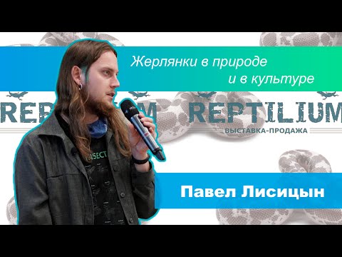 Жерлянки в природе и в культуре