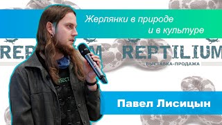 Жерлянки в природе и в культуре