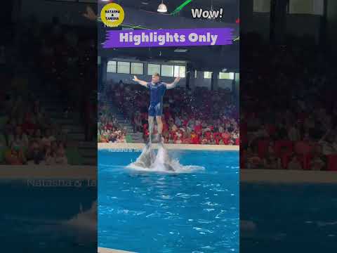Highlights Only! Must Watch Videos #viral short Dolphinarium Dubai.Dolphin show.