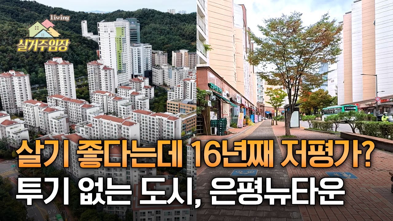 살기 좋다는데 왜 16년째 저평가일까? |📍실거주 임장 | 투기 없는 도시, 은평뉴타운