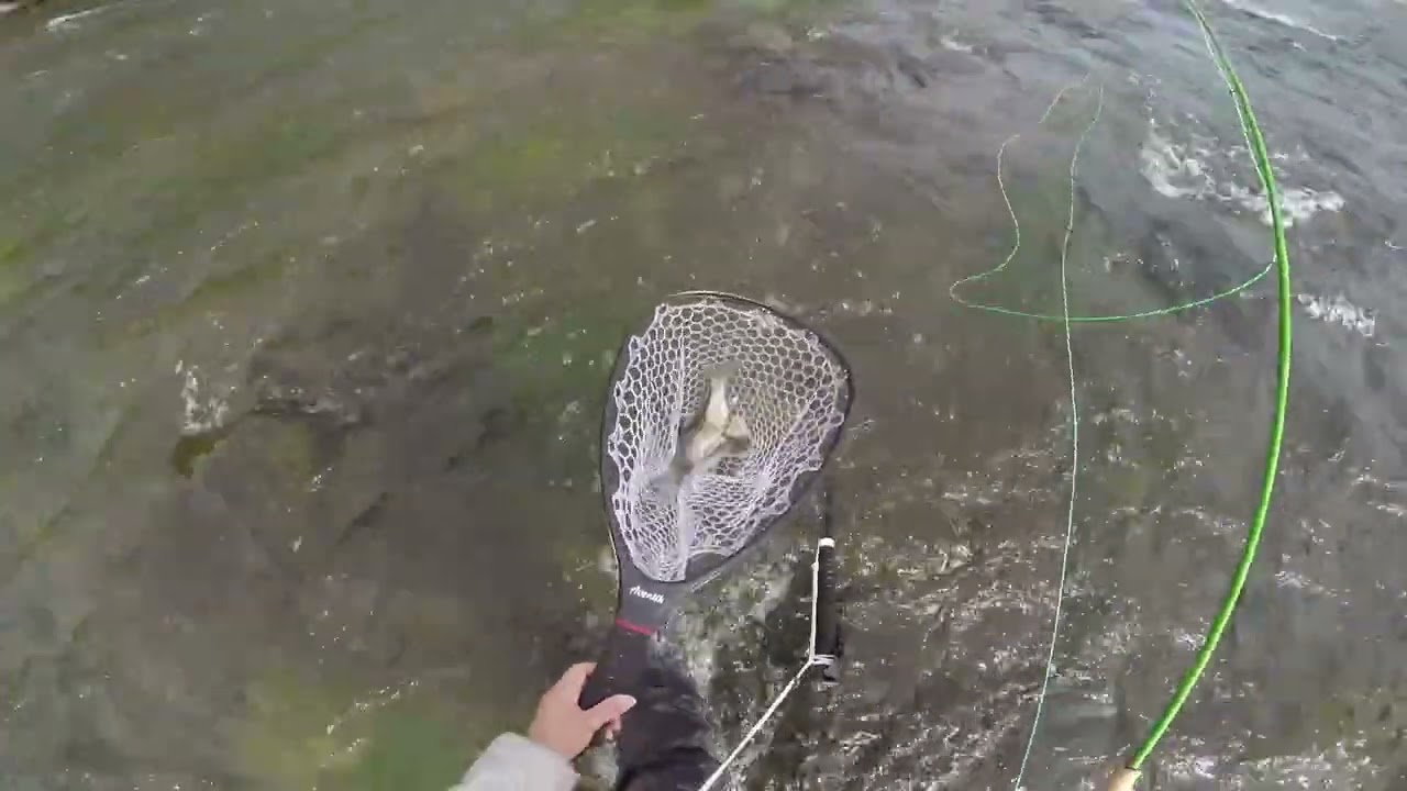 Fly Fishing on Hat Creek - March 16-19, 2023