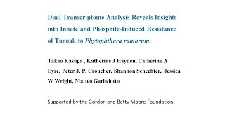 Dual Transcriptome Analysis Reveals Insights into Innate and Phosphite-Induced Resistance