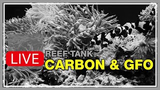 Carbon for Sure... GFO Sometimes... Carbon Dosing? Filter & Reactor Media for a Saltwater Tank.