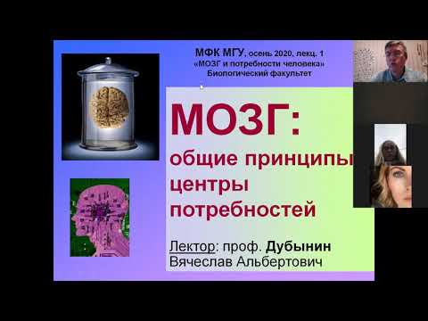 Вячеслав Дубынин, Мозг и потребности человека МФК осень 2020 лекция 1