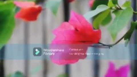 سورة الفاتحة بصوت الشيخ حسن صالح