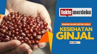 Selain Mencegah Depresi, Ini Dia Beberapa Manfaat Minyak Zaitun Untuk Kesehatan