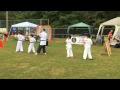 Crabapple Martial Arts - Roswell Youth Day Demo