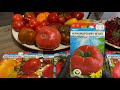 Обзор семян томатов. Что посадим в 2022 (часть 1)